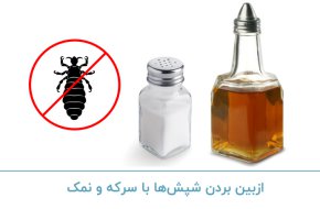 از بین بردن شپش با سرکه و نمک