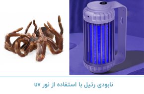 نابودی رتیل با استفاده از نور یو وی