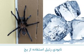 نابودی رتیل با استفاده از یخ